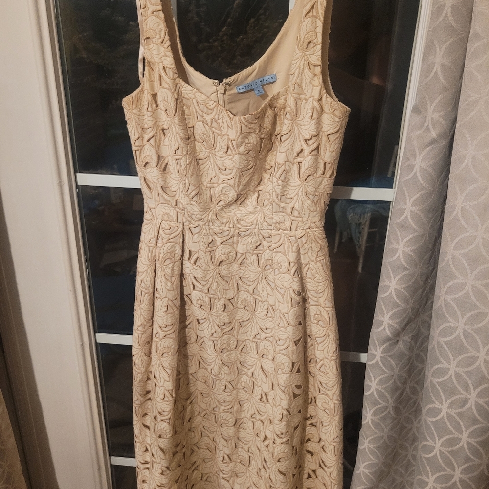 Gorgeous ANTONIO MELANI Nyla DRESS...you won't be disappointed